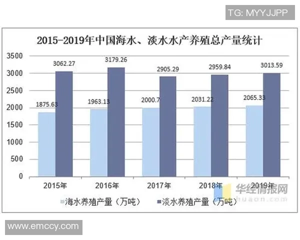 选手薪资泡沫的背后：高薪时代的可持续性财务探讨与分析